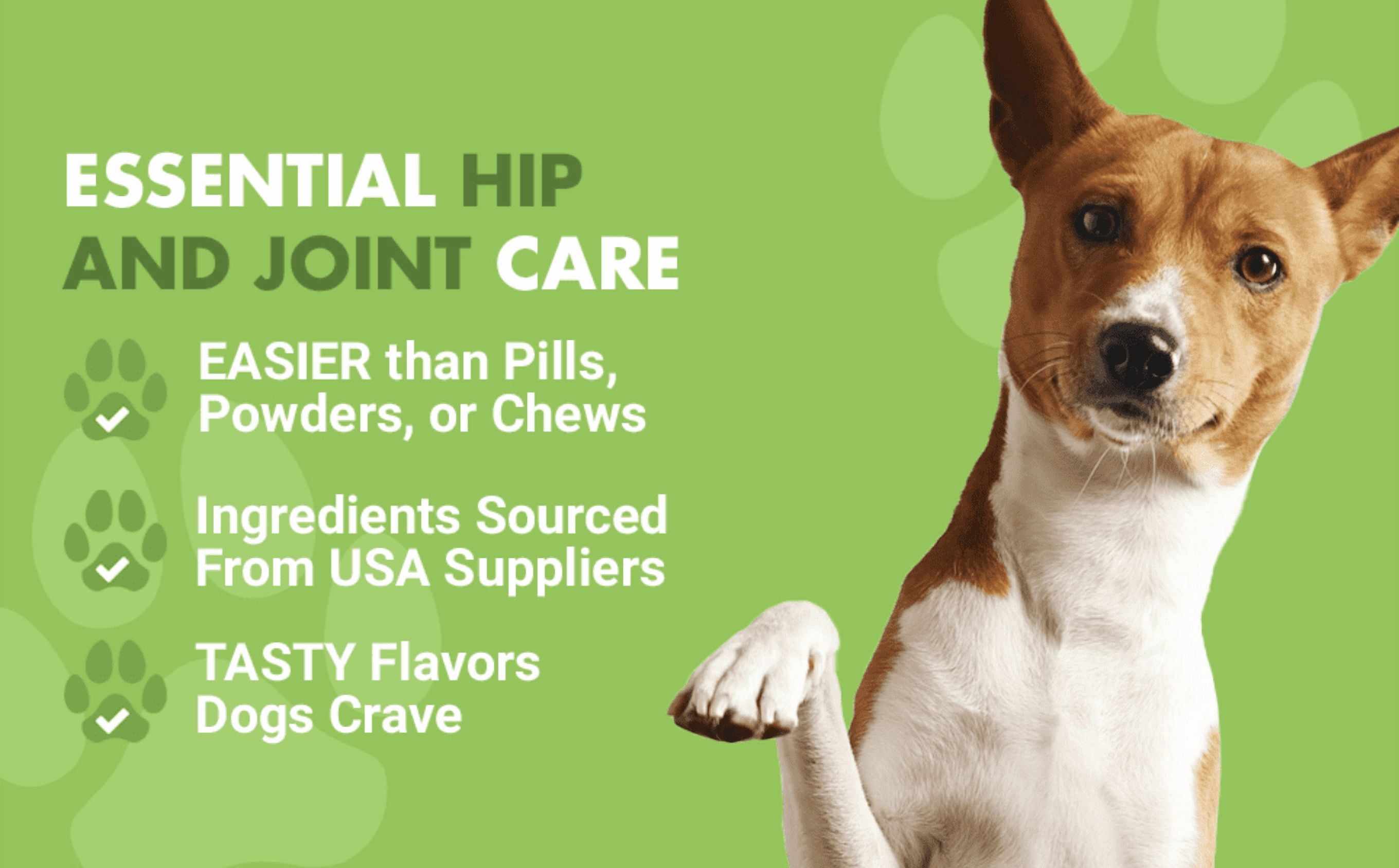 (2 pack) Liquid-Vet Hip & Joint Wellness Supplement for Dogs with Glucosamine, Chicken, 16 oz.