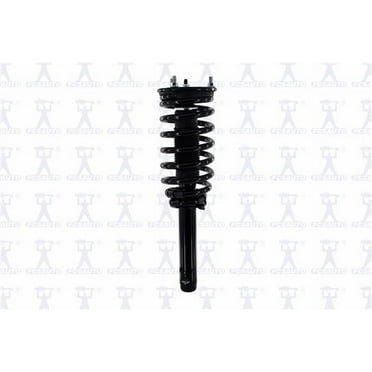 Suspension Strut and Coil Spring Assembly