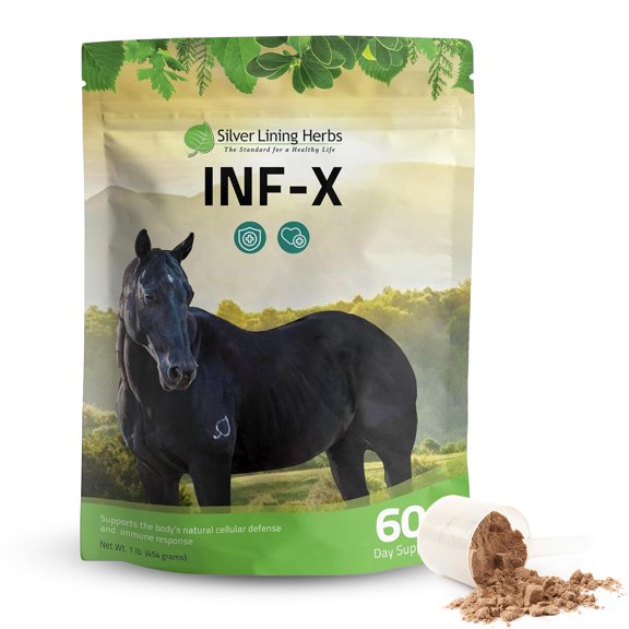Polvo para Apoyo Inmunológico Equino Silver Lining Herbs INF-X 454g