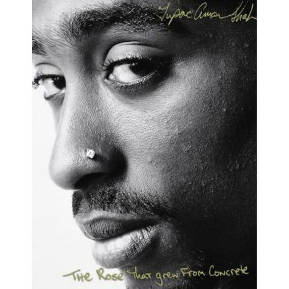 Pre-Owned The Rose That Grew From Concrete (Paperback) 1416525688 9781416525684