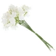 thumbnail image 6 of BERTDOMD 10pcs Highly Simulated Plant Stems Faux Greenery Spray Diy Materials for Bouquet Vase Fillers, 6 of 6