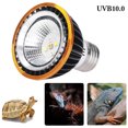 thumbnail image 1 of Reptile Light Creative Reptile Sun Lamp Sun Basking Lamp Amphibian Lamp, 1 of 10