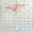 thumbnail image 3 of Balsa Circle 12 Pieces 13"-15" Authentic Ostrich Feathers Centerpieces, 3 of 8