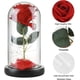 thumbnail image 3 of Rosa de luz LED en cúpula de cristal, decoración del hogar con flores preservadas, rosa eterna que simboliza los mejores deseos, regalo romántico para ocasiones especiales, 3 of 6