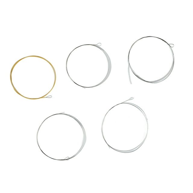 Kit de 5 Cordes de Banjo, Notes Basses Brillantes Résonance Totale Acier Inoxydable Forte Pénétration Ensemble de Cordes de Banjo pour Performance