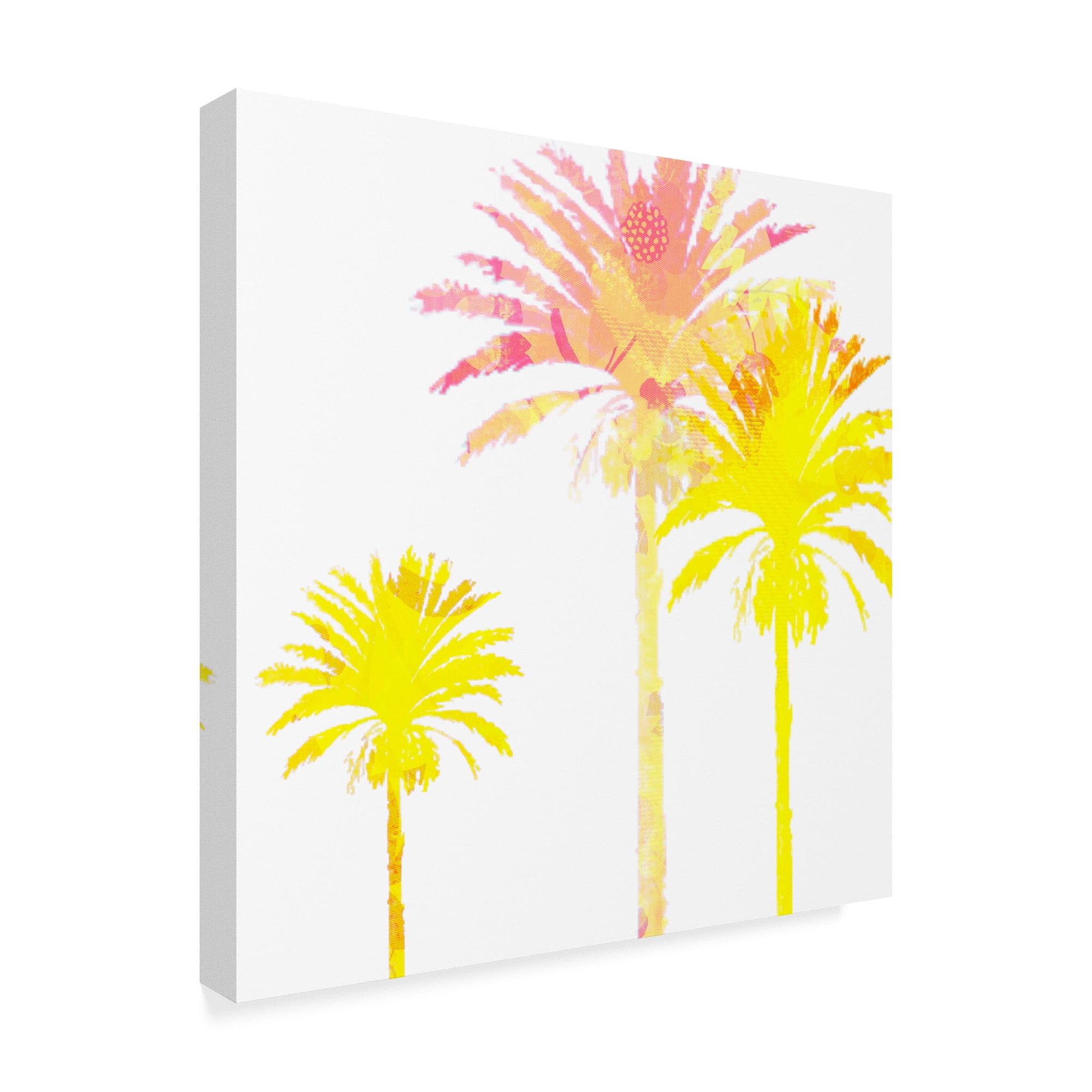 Trademark Fine Art 'Sunny Palm I' Canvas Art by Ricki Mountain