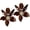 Brown, variant on Unique Bohemian Oversized Acrylic Resin Flower Dangle Drop Earrings Retro Large Hawaii Flower Lei Earrings for Women Statement Jewelry Gifts