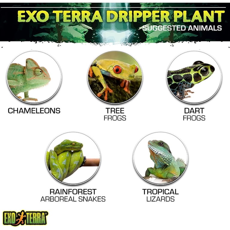 Exo Terra Large Terrarium Dripper Plant, Fake Reptile Decor