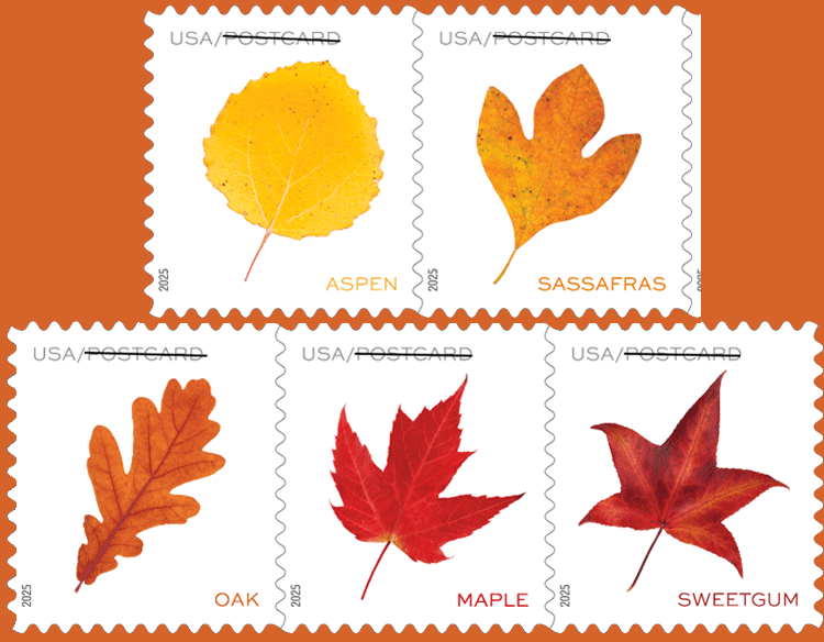 Vibrant Leaves POSTCARD RATE USPS Postage Stamp 5 Sheets of 20 US  display picture 1