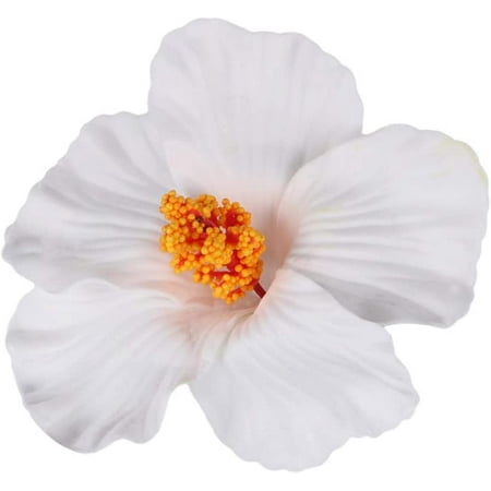 10pcs Hibiscus Flowers Hawaiian Flowers Hair Clips Artificial Hawaii Flower Hairpins for Holidays Wedding Party DIY Decorations White | Walmart Canada 10pcs Hibiscus Flowers Hawaiian Flowers Hair Clips Artificial Hawaii Flower Hairpins for Holidays Wedding Party DIY Decorations White | Walmart Canada