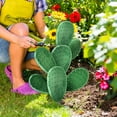thumbnail image 7 of PRETXORVE Cactus Green Plant Courtyard Garden Outdoor Decoration in, 7 of 7