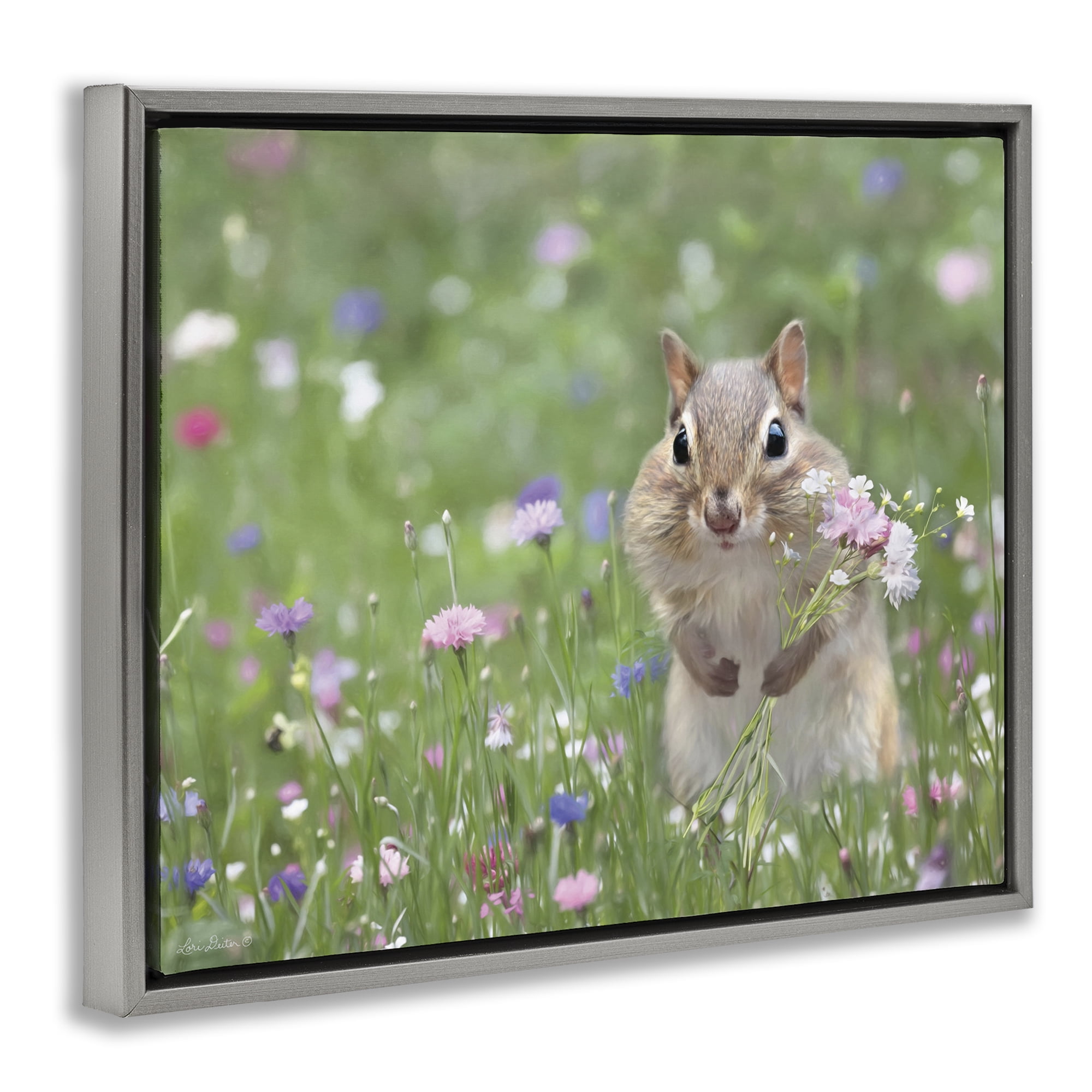 Stupell Industries Chipmunk Picking Flowers Animals & Insects Painting Gray Floater Framed Canvas Art Print Wall Art, 31 x 25