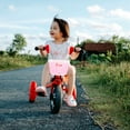 thumbnail image 3 of 2Pcs Bike Front Basket for Toddlers with Sturdy Construction and Storage, 3 of 8