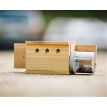 Bees N Things BEESBM Back Mount Carpenter Bee Trap | Walmart Canada