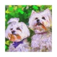 thumbnail image 1 of Maltese In Impressionism - Canvas, 1 of 10