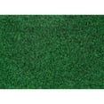 thumbnail image 3 of Garland Rug Softscapes Polypropylene Green Indoor/Outdoor Area Rug,5' x 7', 3 of 6
