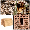 thumbnail image 2 of 50pcs Replacement Tubes Bee Nest Bee Tubes Replacement Nesting Tubes Beehive Reed Tubes, 2 of 9
