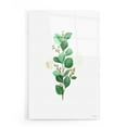 thumbnail image 1 of Epic Art 'Eucalyptus II' by Seven Trees Design, Acrylic Glass Wall Art, 16"x24", 1 of 3
