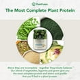 Complete Vegan Protein Powder Plant Based Protein Powder With BCAAs