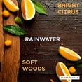 thumbnail image 3 of Scent Theory Hand Sanitizer Spray, Rainfall, 1 fl oz, 3 of 8
