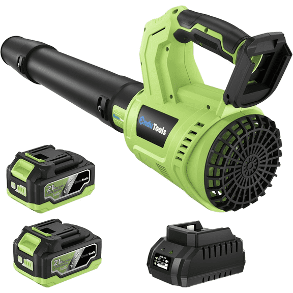 Leaf Blower Cordless - 650 CFM 150 MPH Electric Leaf Blower with 2 x 4.0Ah Batteries & Fast Charger, 2-Speed Settings, Lightweight Blower for Lawn, Yard, Leaves, Dust, and Snow Care (Green)