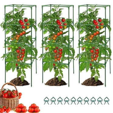 2 Pack Trellis for Vines and Climbing Plants Outdoor, Iron Wire ...