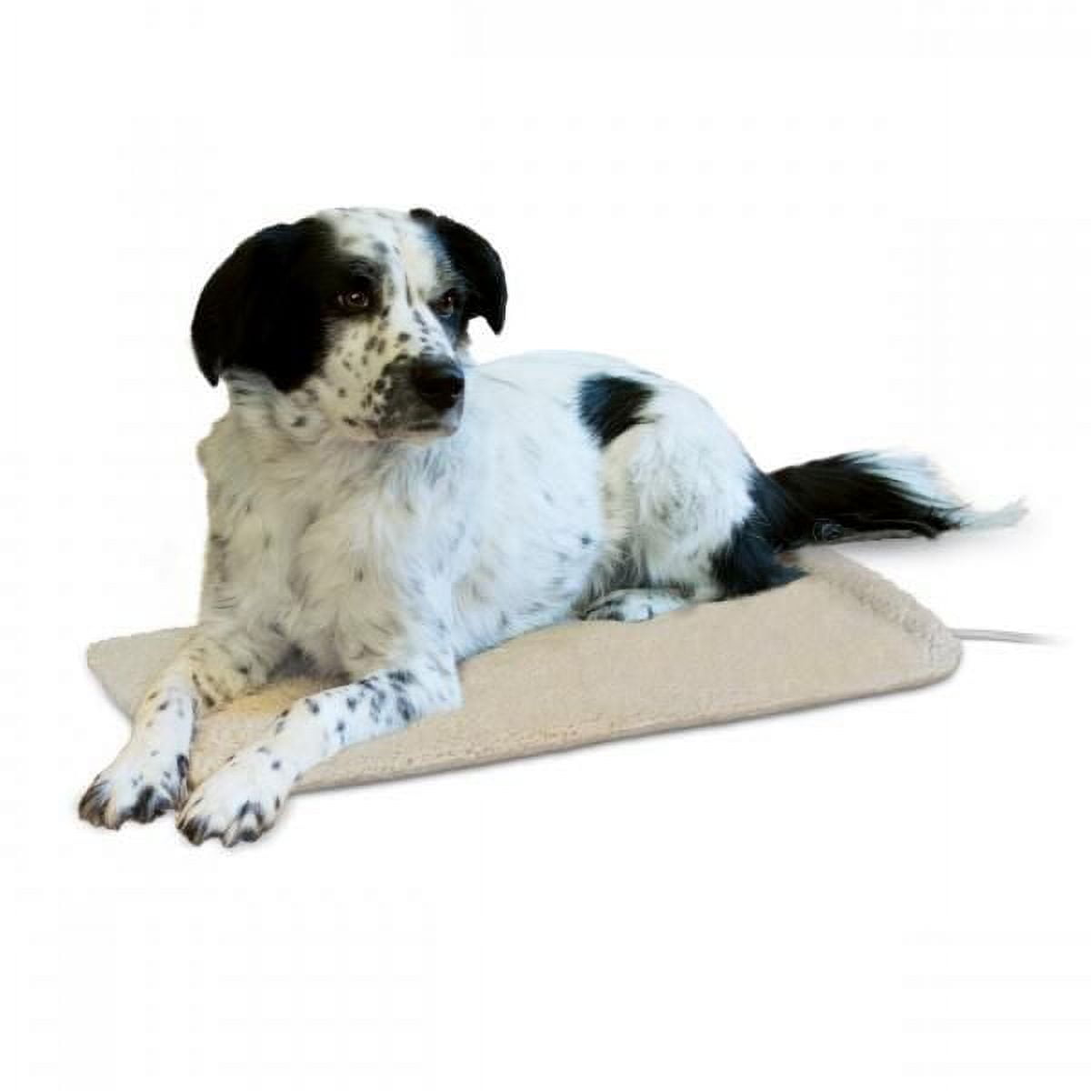 Creative solutions elevated pet bed 2025