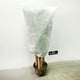 thumbnail image 2 of Cubierta anticongelante para plantas Protección contra el frío de otoño e invierno Cubierta para árboles Bolsa anticongelante para plantas Manta fría para plantas no tejida (0,8 m * 1,2 m), 2 of 5
