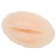 thumbnail image 4 of Labios de silicona 3D, labios de silicona 3D Silicona elástica suave Sensación de tacto de piel real Labios falsos ampliamente utilizados para la práctica de Microblading, 4 of 5