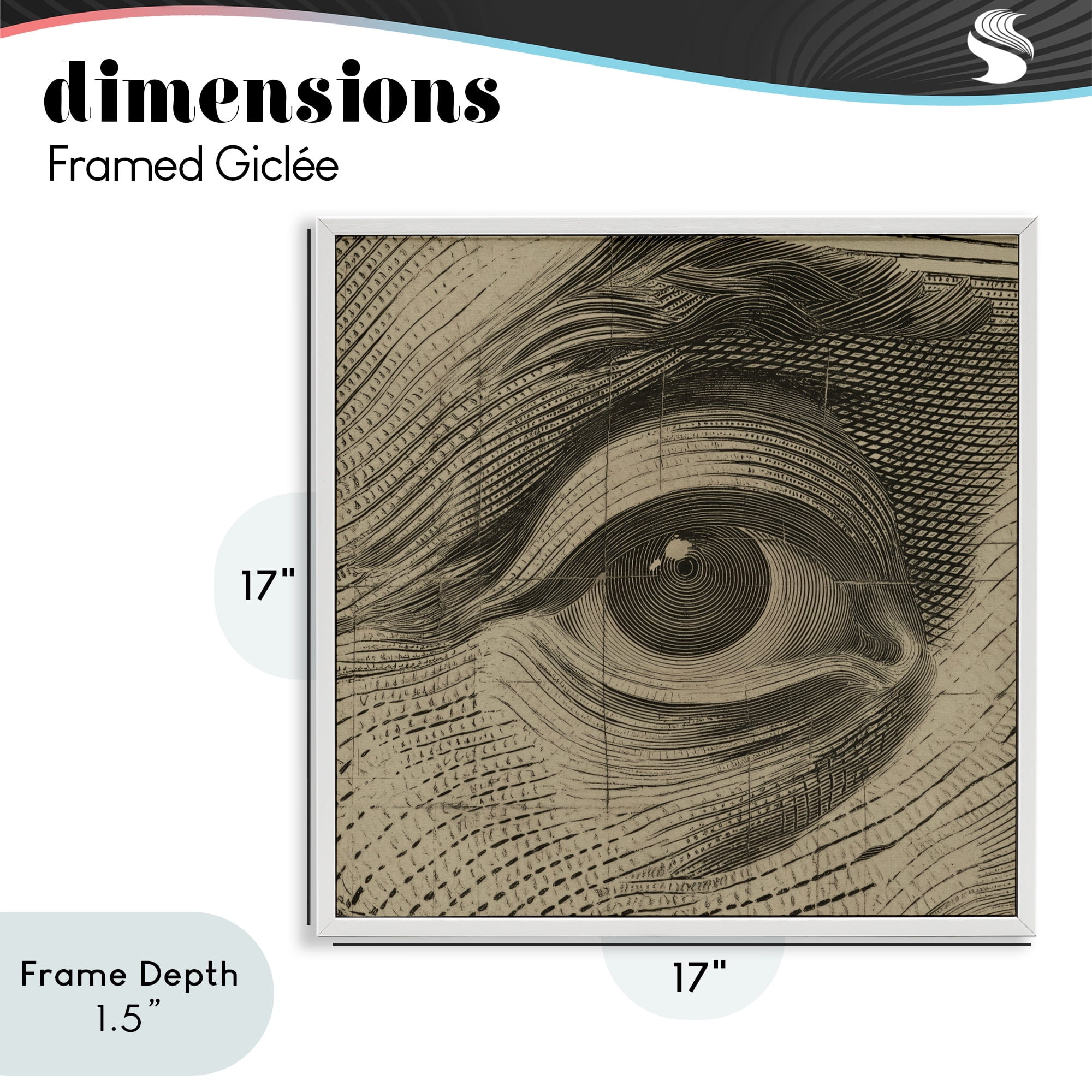 Stupell Industries Franklin's Gaze Eye White Framed Giclee Art, design by Svetlana Aleynikova