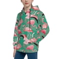 thumbnail image 2 of Rateoe Tropical Flamingo Pattern Boys Hoodie, Youth Pullover Hooded Sweatshirt, Kangaroo Pocket Hoodie for Kids-Small, 2 of 6
