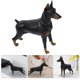 thumbnail image 3 of 1pc Doberman Model Simulation Lifelike Static Dog Animal Statue Figurine Desktop Adornment (Black), 3 of 4