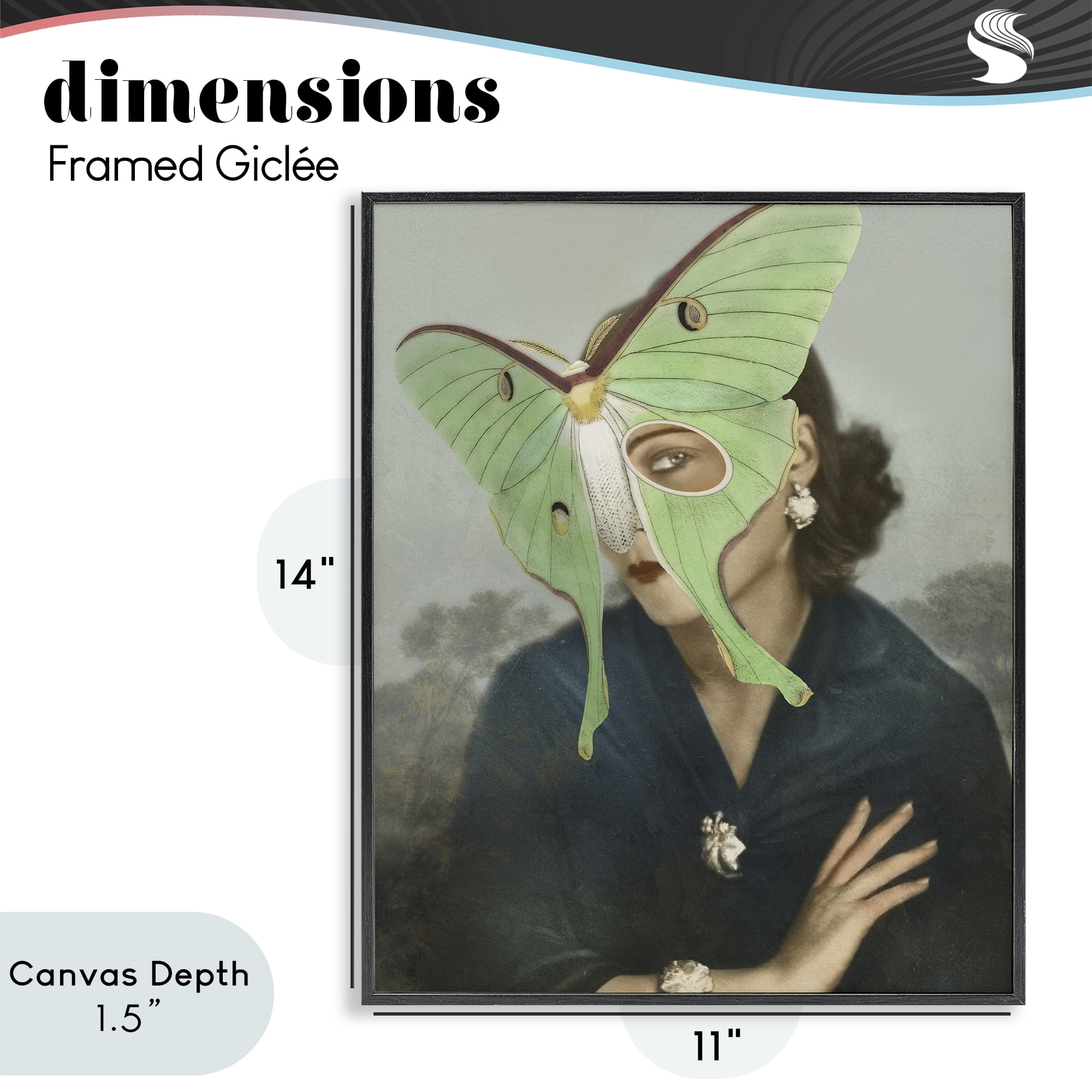 Stupell Industries Naturalist Portrait with Moth Black Framed Giclee Art, design by Victoria Barnes