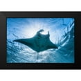 thumbnail image 2 of Gabriel, Barathieu 18x13 Black Modern Framed Museum Art Print Titled - Manta Ray, 2 of 5
