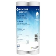 Pentair OMNIFilter RS12 10" Standard Whole House Sting Wound Sediment Water Filter - 2 Pack