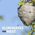 thumbnail image 6 of Spectracide Wasp & Hornet 3, 12 Pack, 18.5 Oz Insect Killer, 6 of 7