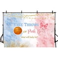 thumbnail image 3 of Free Throws or Bows Gender Reveal Beautiful Backdrop Basketball Gender Reveal Baby Shower Party Decorations Supplies Blue Pink Watercolor Photography Background Banner Cake Table Studio Props, 3 of 3