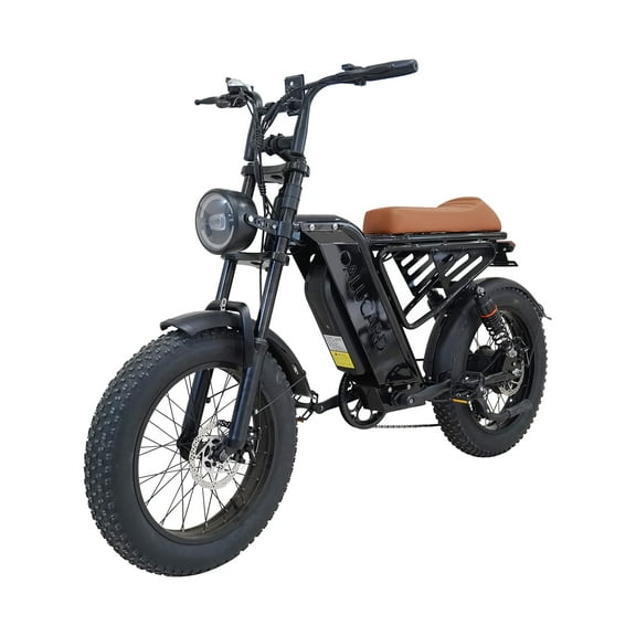 750W Electric Bike for Adults 20" Fat Tire Full Suspension Mountain Bike UL2849