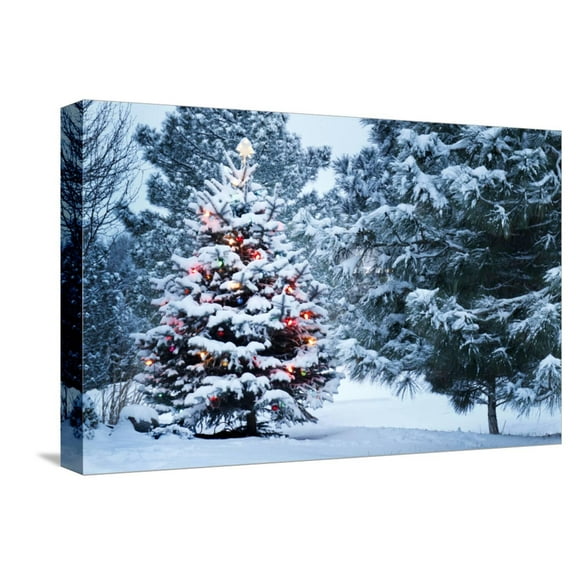 Art.com This Snow Covered Christmas Tree Stands out Brightly against the Dark Blue Tones of this Snow Cover Stretched Canvas Print Wall Art by Ricardo Reitmeyer, 18" x 12"