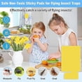 thumbnail image 3 of 24PCS Indoor Plug-in Fly Trap Refill Glue Cards, Non- Flying Insect Catcher, Double-Sided Sticky Trap Refill Kit, 3 of 5