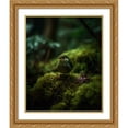 thumbnail image 2 of Maki 26x31 Gold Ornate Wood Framed With Double Matting Wall Art Titled - A Little Friend I, 2 of 6
