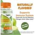 thumbnail image 5 of Health Supplied Vitamin C Immune Support Gummies 1050mg | Natural Sour Apple Flavor | Vegan Plant Based Pectin, 5 of 8