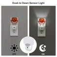 thumbnail image 3 of Balery Basketball Shot Pattern LED Night Light with Automatic Sensor Plug in Night Light with Dusk-to-Dawn Light Sensor LED Nightlight 0.5W-US, 3 of 7