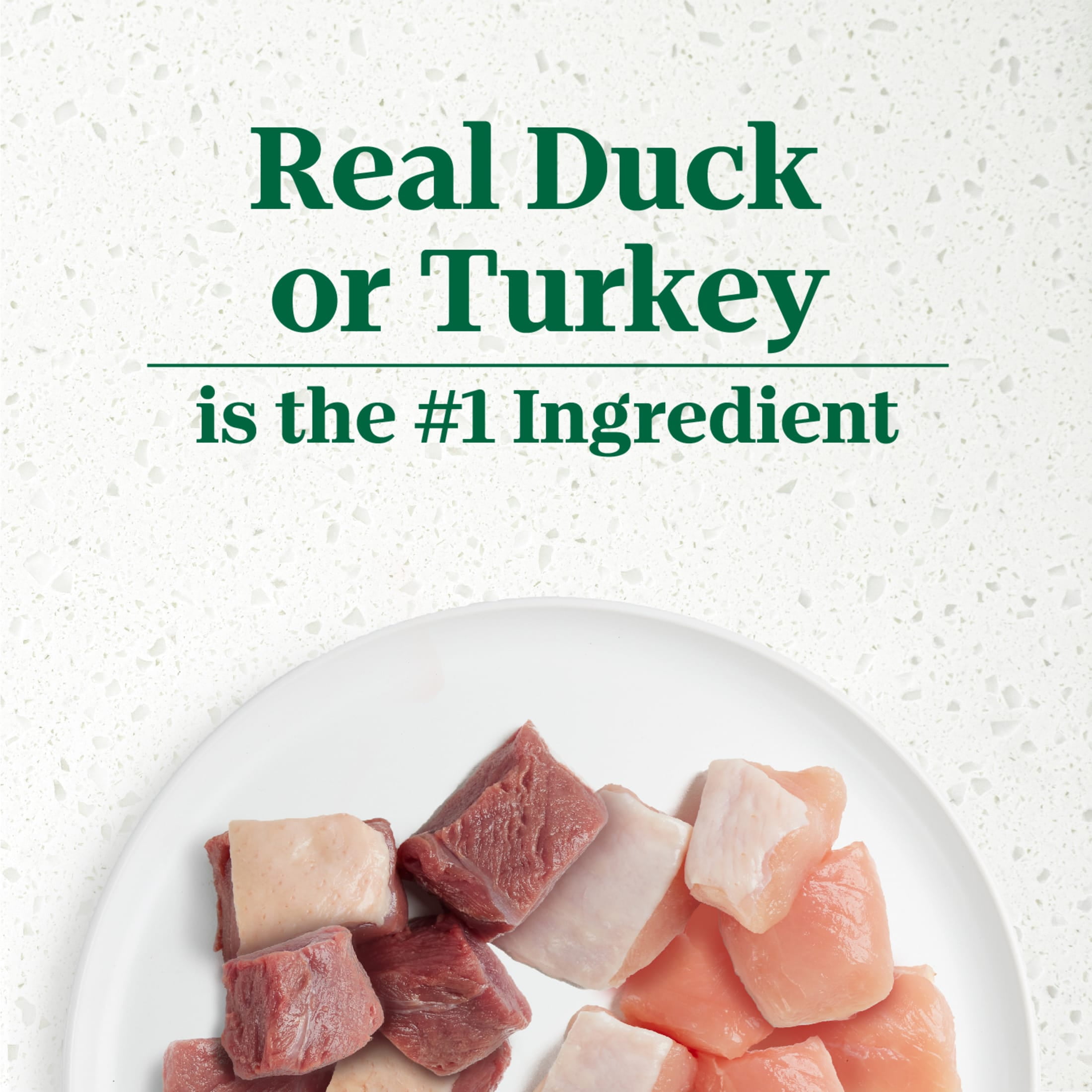 Nutro Ultra Filets In Gravy Duck & Roasted Turkey Variety Pack Wet Dog Food, (12) 3.5 Oz Trays