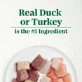thumbnail image 3 of Nutro Ultra Filets In Gravy Duck & Roasted Turkey Variety Pack Wet Dog Food, (12) 3.5 Oz Trays, 3 of 10