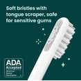 thumbnail image 4 of Quip Sonic Cepillo de dientes para adultos con temporizador - Incluye cabezal de cepillo adicional y soporte de cubierta de viaje - Eléctrico, cabezal de recambio de cerdas suaves, mango de plástico,, 4 of 5