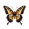 thumbnail image 3 of Realistic Butterfly Stickers, Waterproof Butterfly Sticker for Water Bottle Laptop Phone Cases Planner Skateboard Luggage Helmet Party Favor Decor, Ideal for Adults Teens Teacher Rewards, 3 of 9
