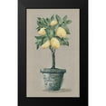thumbnail image 2 of Norkus, Julie 10x14 Black Modern Framed Museum Art Print Titled - Lemon Tree, 2 of 5