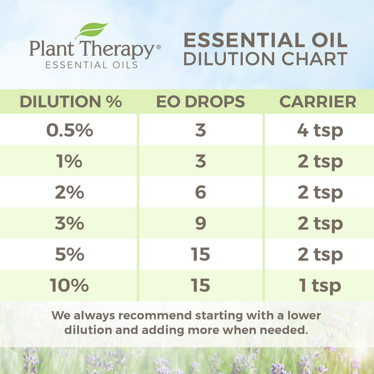 Plant Therapy Rose Absolute Essential Oil 100% Pure, Undiluted, Natural Aromatherapy 5 ml
