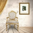 thumbnail image 3 of Love, Maureen 12x14 Gold Ornate Wood Framed with Double Matting Museum Art Print Titled - Secret Garden, 3 of 4